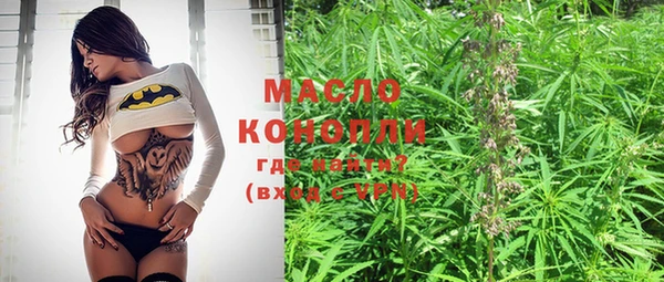 молекула духа Тобольск