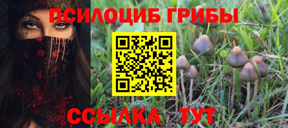Екатеринбург  Псилоцибиновые грибы Psilocybe  Псилоцибиновые грибы мицелий  Вход с VPN 
